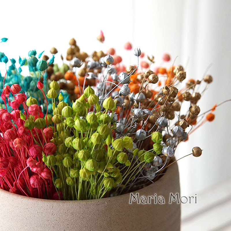 Dried Flower Bouquet - 5g Preserved Flax Bean Natural Real