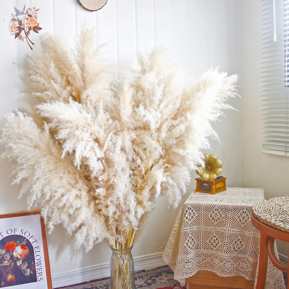 Dried Flower Bouquet - 110cm 10/30Pcs Large Fluffy Natural Dried