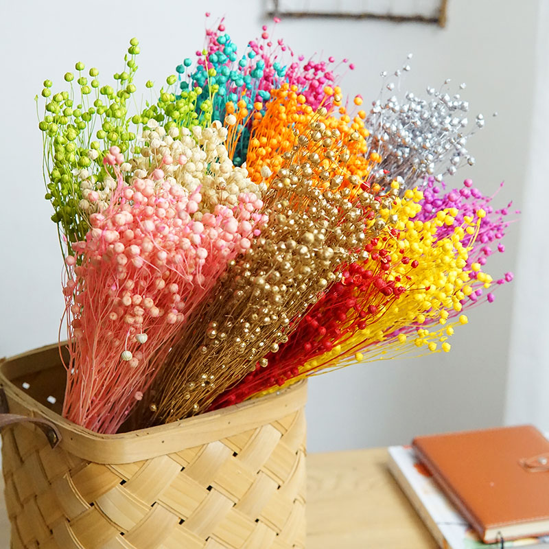 35g/Preserved Ormosia Hosiei N - Dried Flower Bouquet review and price