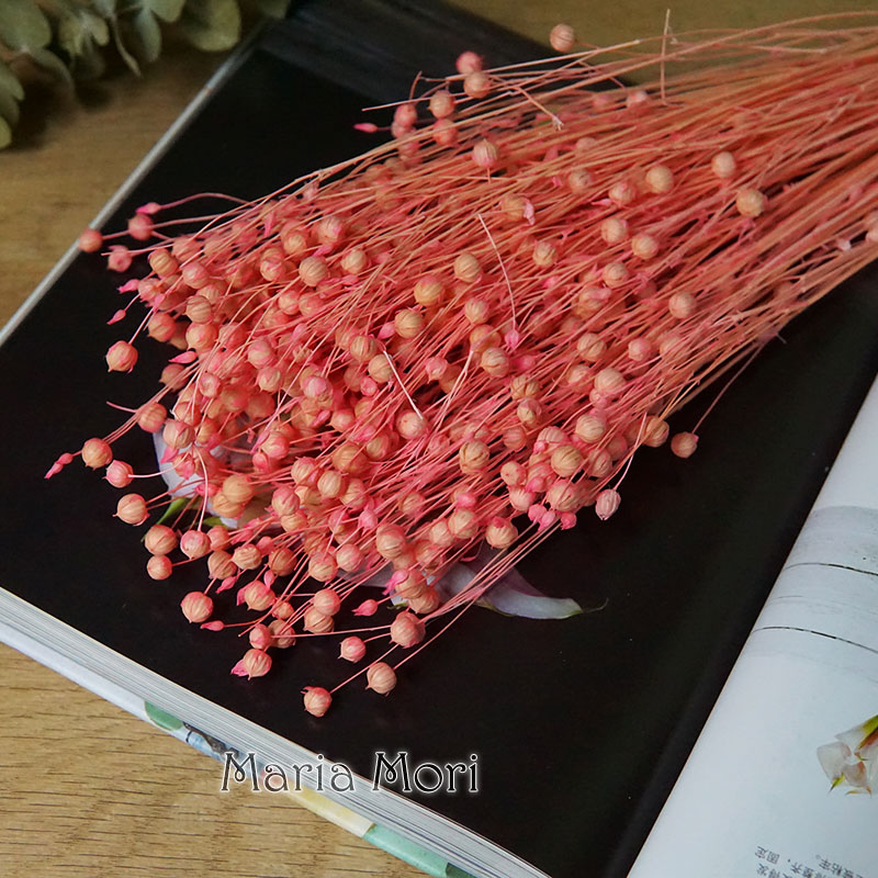 35g/Preserved Ormosia Hosiei N - Dried Flower Bouquet review and price