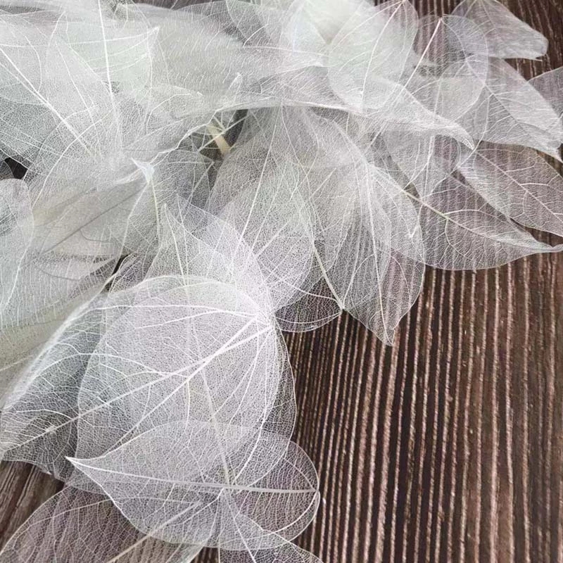 5~9CM*2~3.5CM,100PCS/Set,Real  - Dried Flower Bouquet review and price