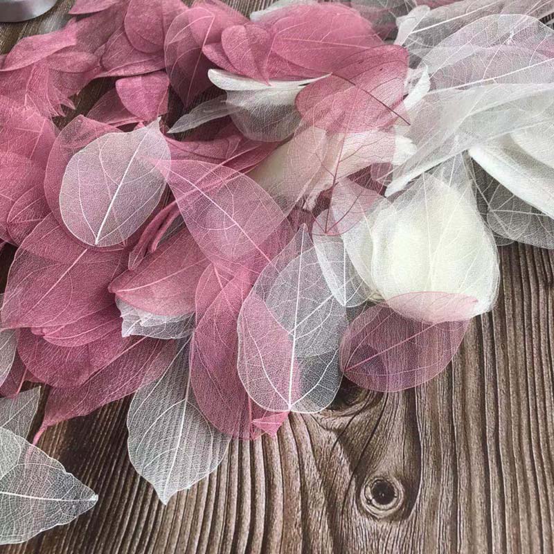 5~9CM*2~3.5CM,100PCS/Set,Real  - Dried Flower Bouquet review and price