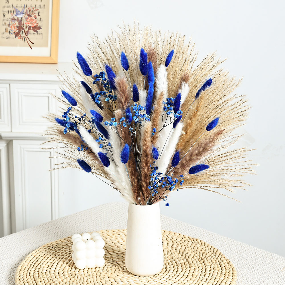 70 Stem Blue Fluffly Rabbit Ta - Dried Flower Bouquet review and price