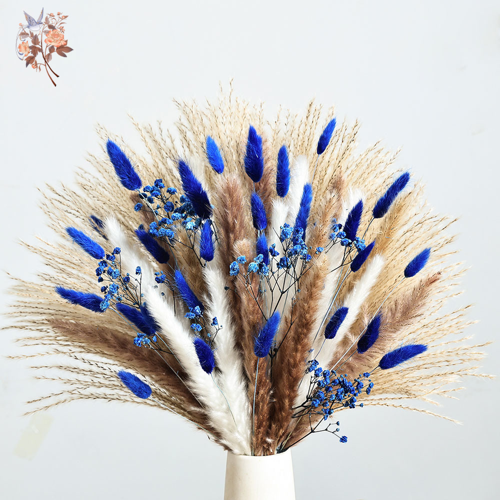 70 Stem Blue Fluffly Rabbit Ta - Dried Flower Bouquet review and price