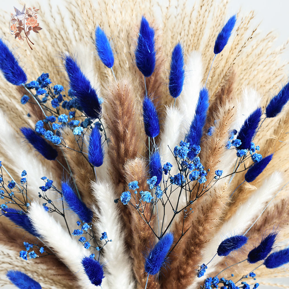70 Stem Blue Fluffly Rabbit Ta - Dried Flower Bouquet review and price