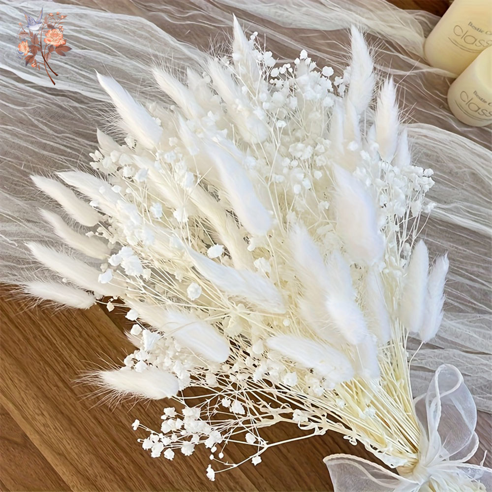 54Pcs White Dried Flower Brida - Dried Flower Bouquet review and price