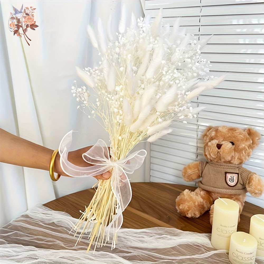 54Pcs White Dried Flower Brida - Dried Flower Bouquet review and price