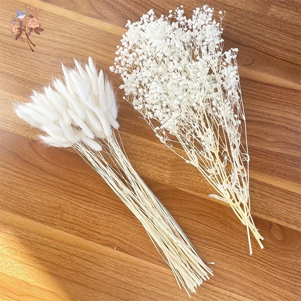 54Pcs White Dried Flower Brida - Dried Flower Bouquet review and price