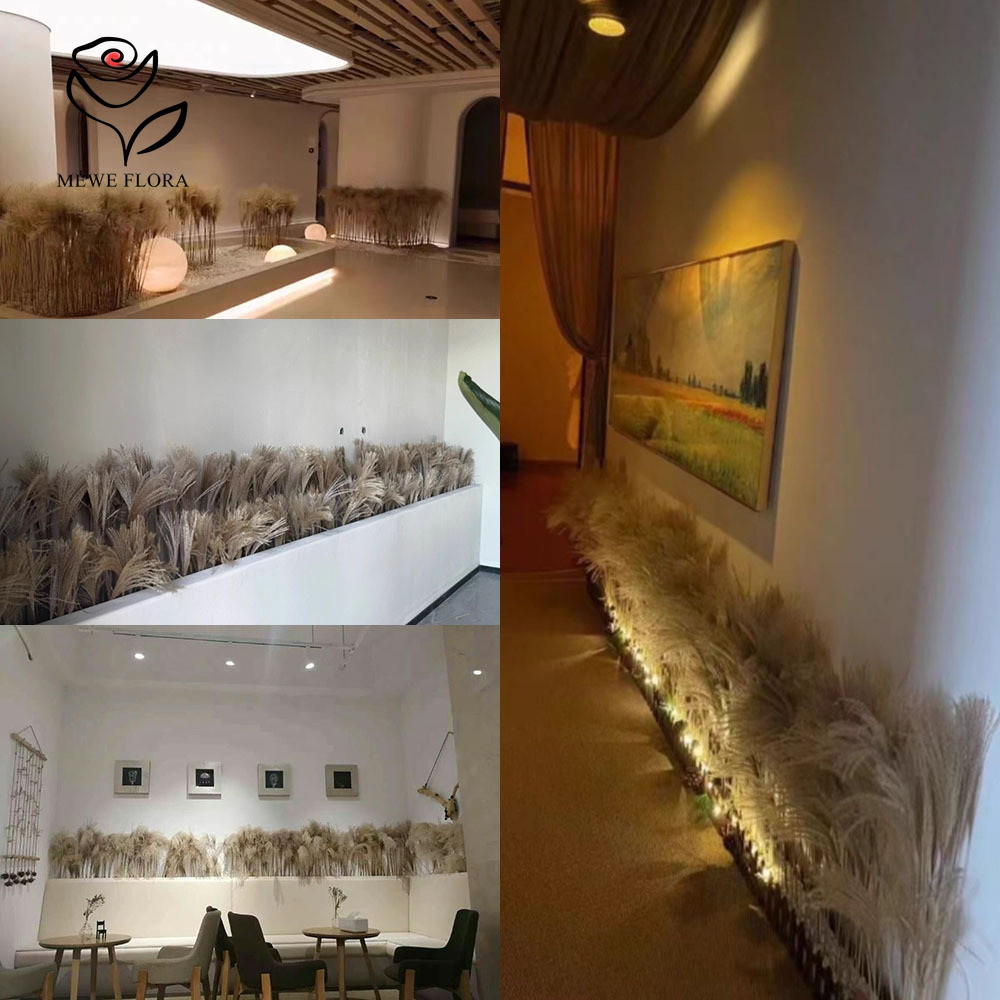 200PCS Natural Dried Fluffy Re - Dried Flower Bouquet review and price