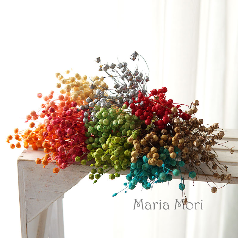 5g Preserved Flax Bean Natural - Dried Flower Bouquet review and price
