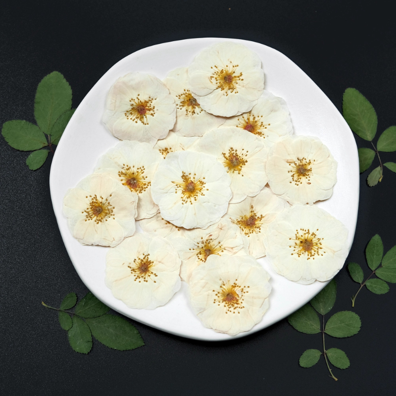 6pcs,9pcs,Nature White Rose Pr - Dried Flower Bouquet review and price