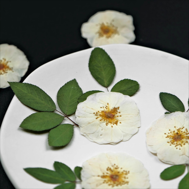 6pcs,9pcs,Nature White Rose Pr - Dried Flower Bouquet review and price