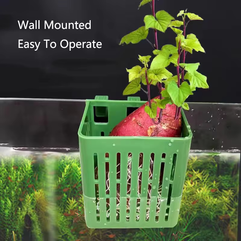 Fish Tank Water Grass Cup Aqua - Woven Wall Basket review and price