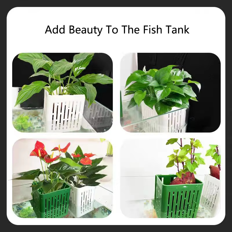 Fish Tank Water Grass Cup Aqua - Woven Wall Basket review and price