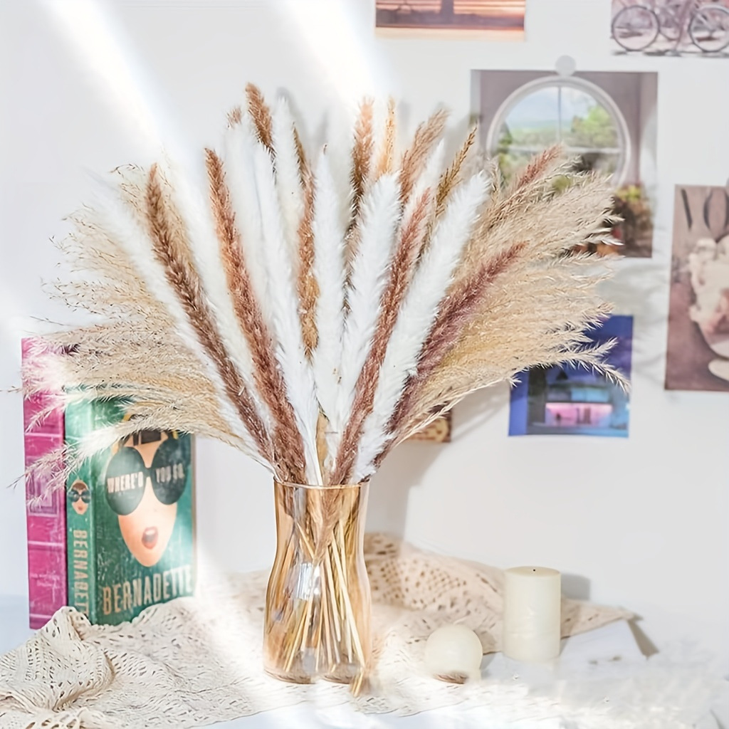330PCS Mixed Reed Pampas Grass - Dried Flower Bouquet review and price