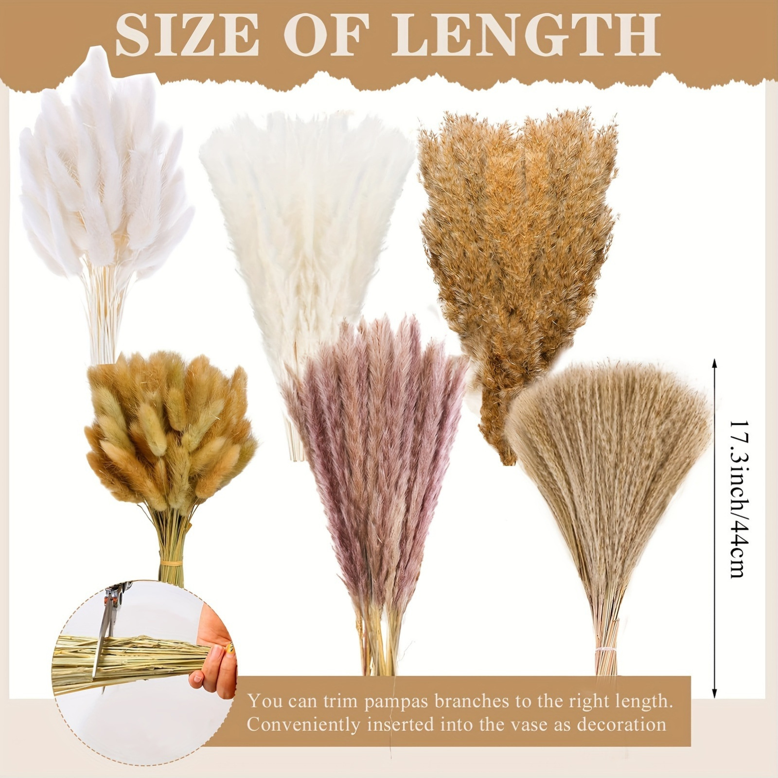 330PCS Mixed Reed Pampas Grass - Dried Flower Bouquet review and price