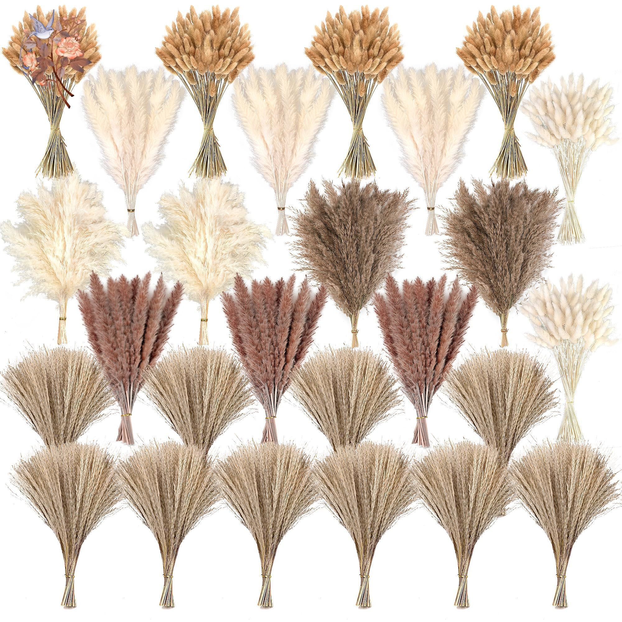 300Pcs Natural Large Pampas Gr - Dried Flower Bouquet review and price