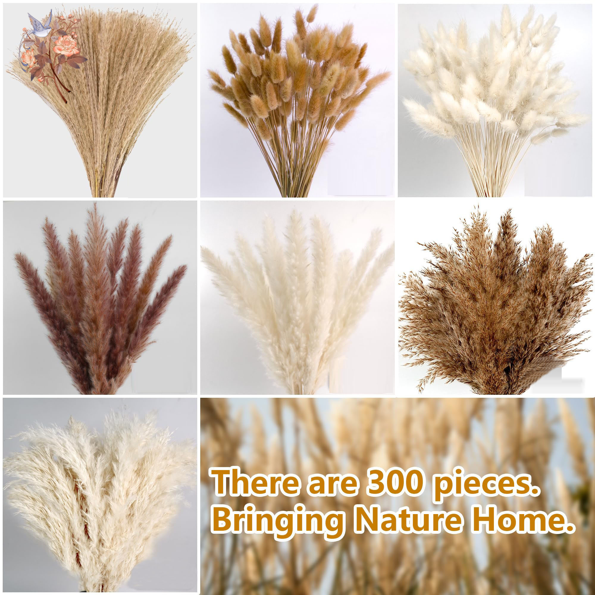 300Pcs Natural Large Pampas Gr - Dried Flower Bouquet review and price