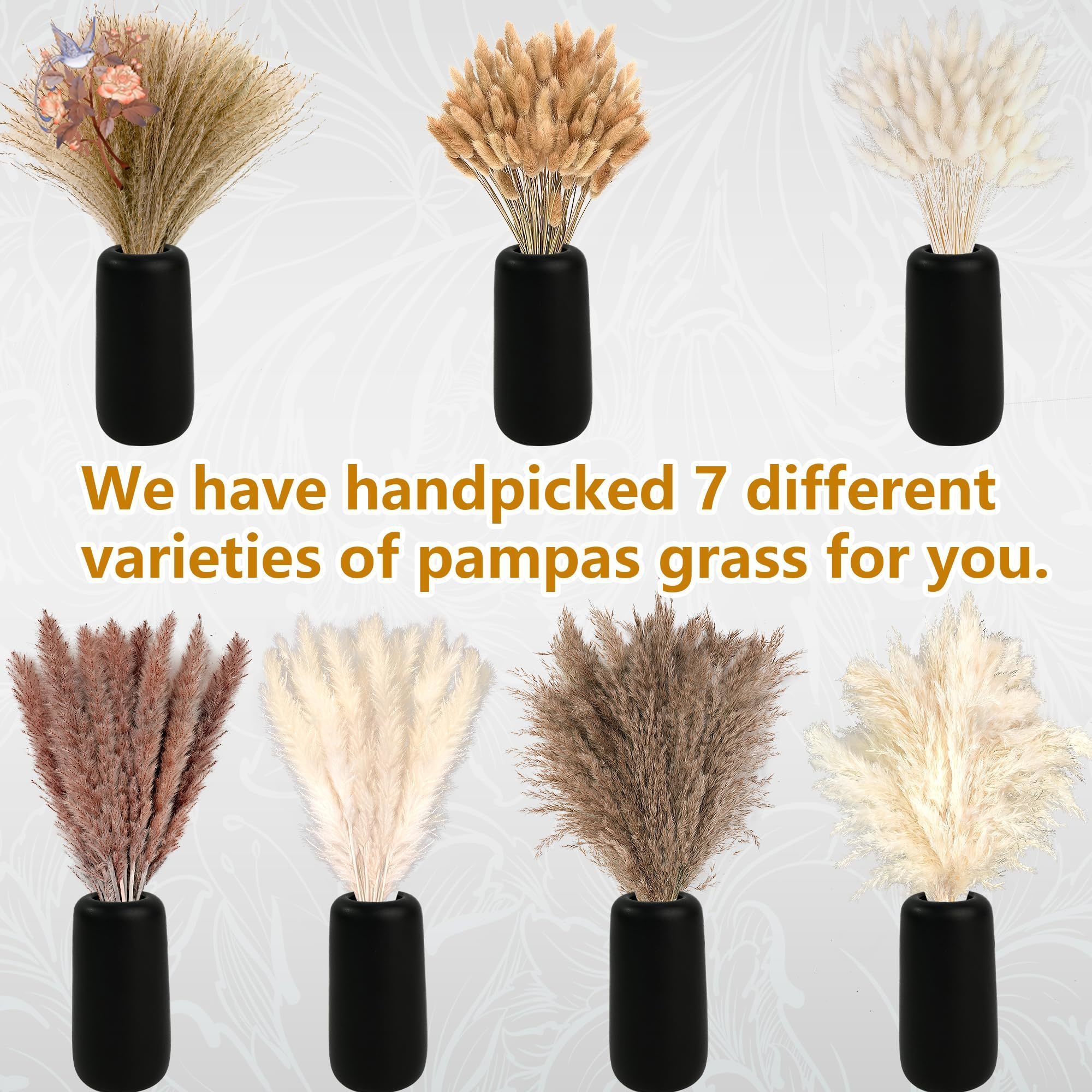 300Pcs Natural Large Pampas Gr - Dried Flower Bouquet review and price
