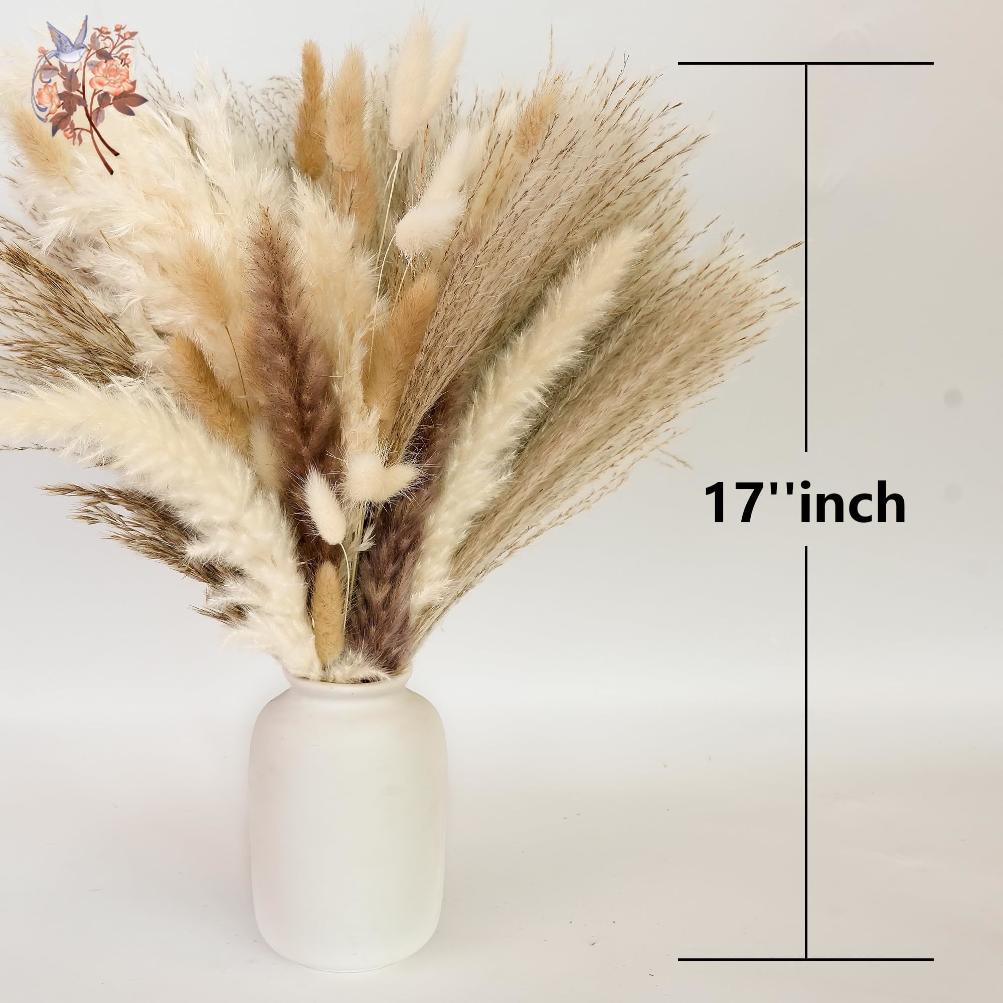 300Pcs Natural Large Pampas Gr - Dried Flower Bouquet review and price
