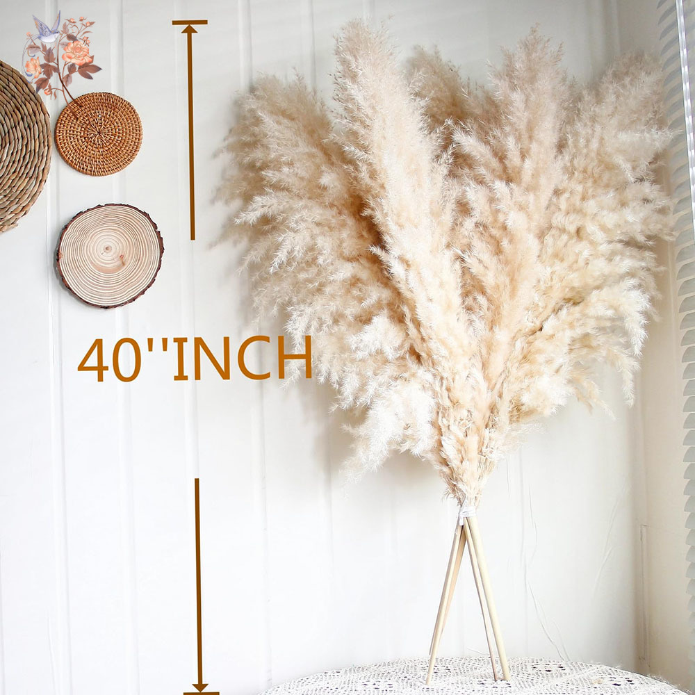 110cm 10/30Pcs Large Fluffy Na - Dried Flower Bouquet review and price