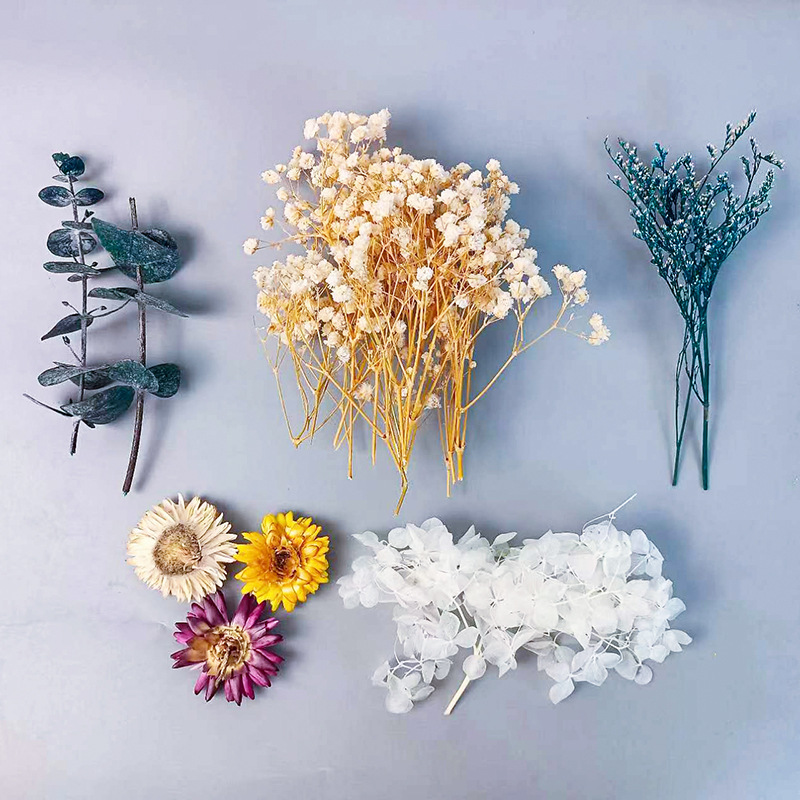 1pack Multifarious Dried Flowe - Dried Flower Bouquet review and price