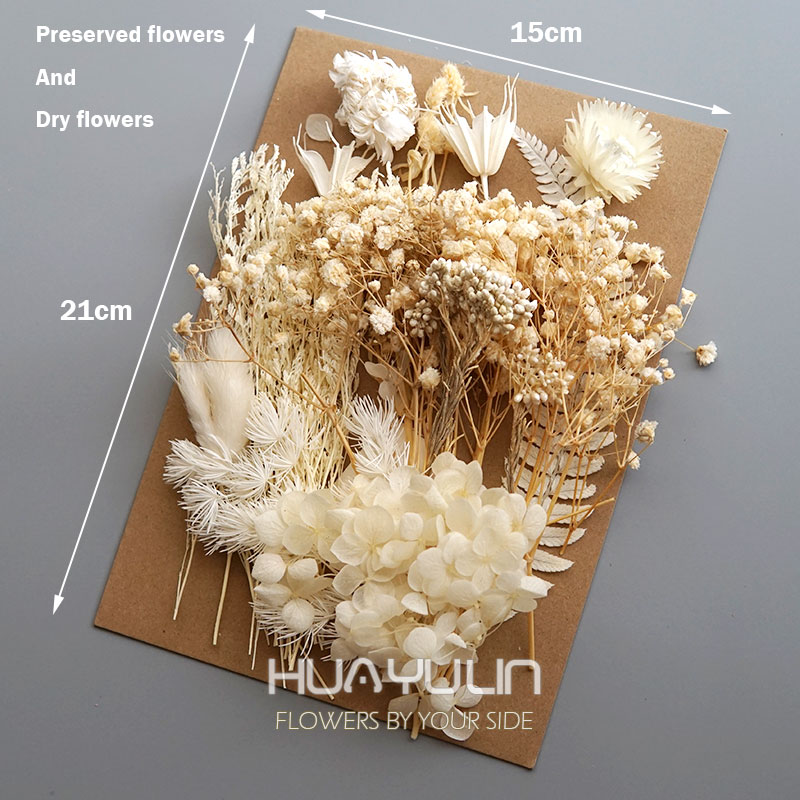 1 Pack Artificial Plants Dried - Dried Flower Bouquet review and price