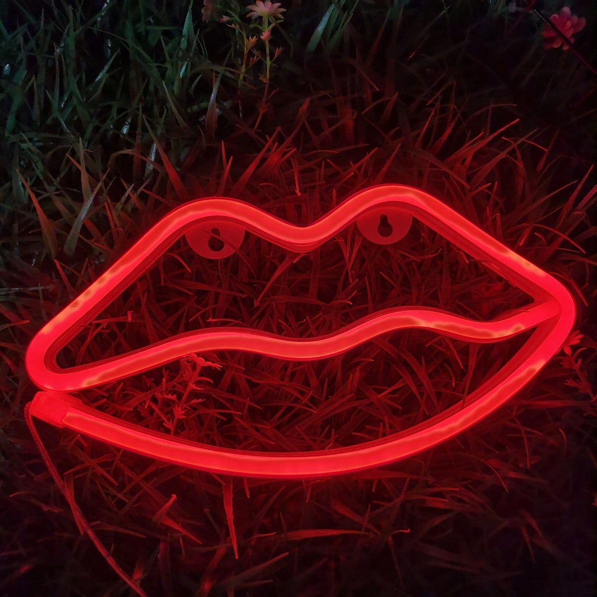 1 Pack Red Lips LED Neon Sign, - Home Decor Lamp review and price