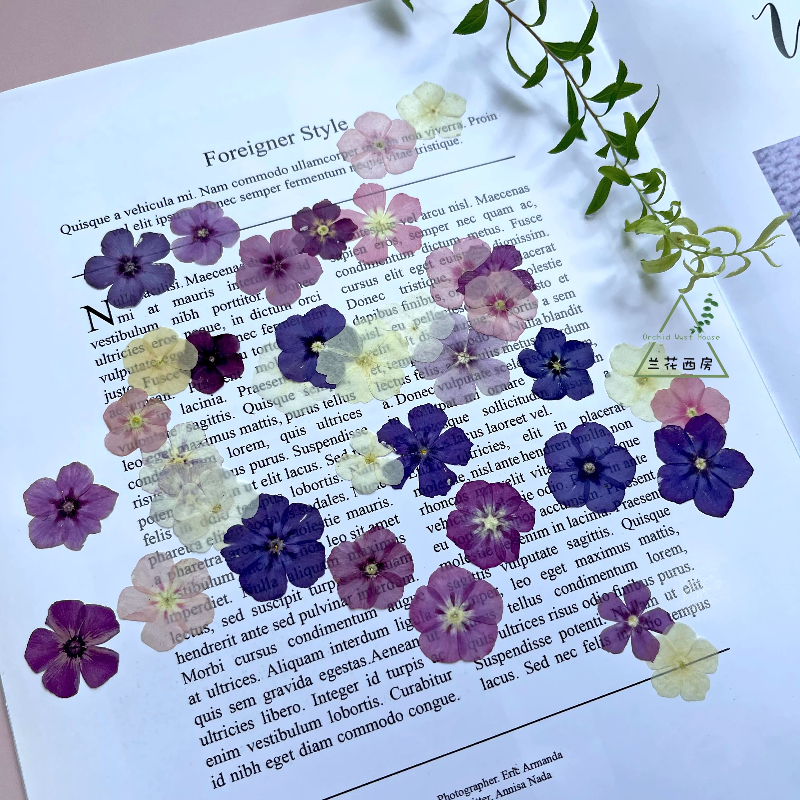 12pcs,Semi-Transparent Niche P - Dried Flower Bouquet review and price