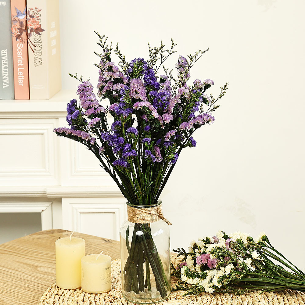 100g Natural Real Forget-me-no - Dried Flower Bouquet review and price