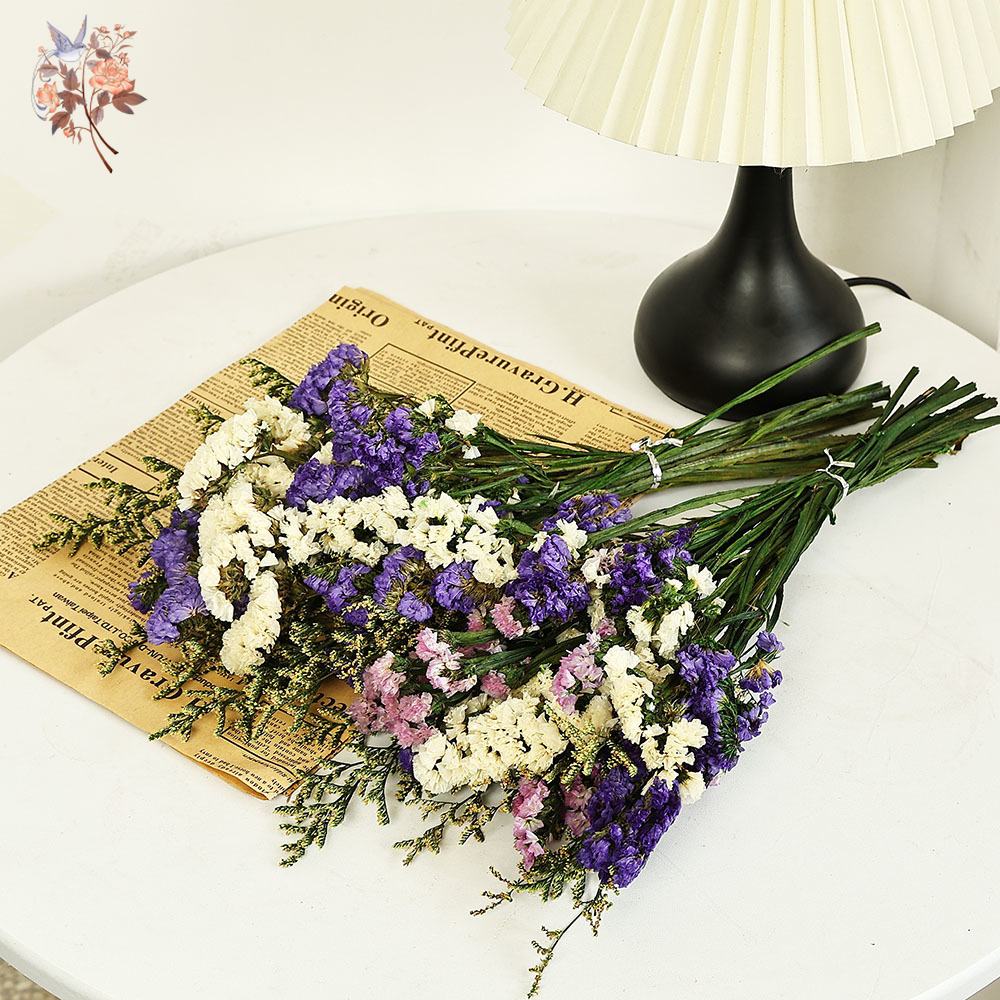 100g Natural Real Forget-me-no - Dried Flower Bouquet review and price