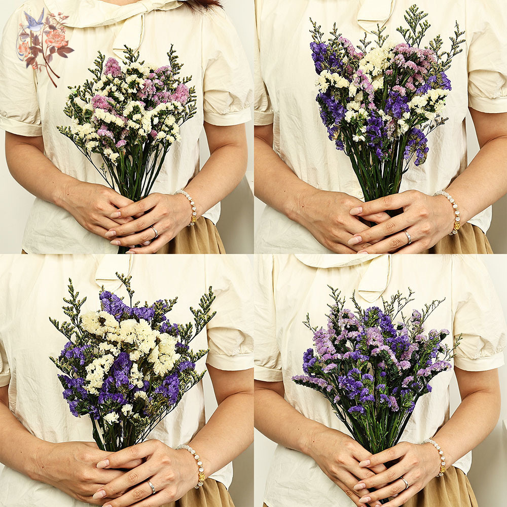 100g Natural Real Forget-me-no - Dried Flower Bouquet review and price