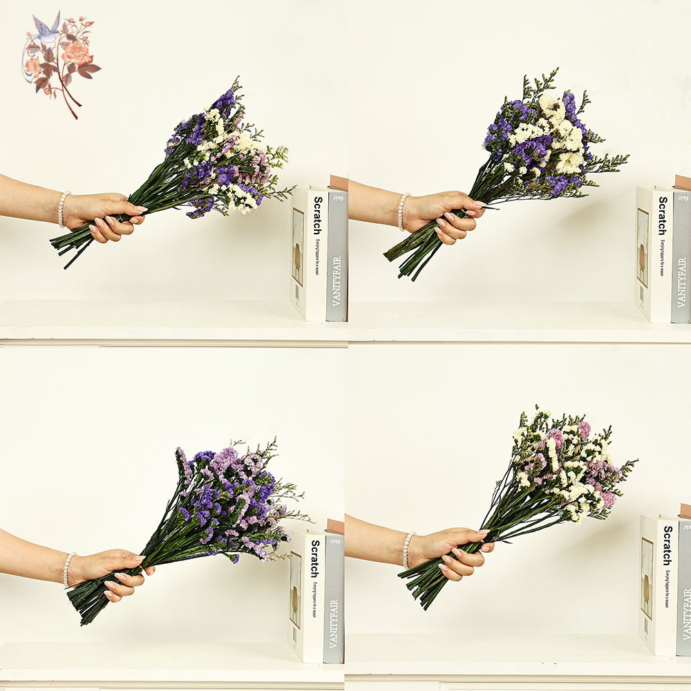 100g Natural Real Forget-me-no - Dried Flower Bouquet review and price