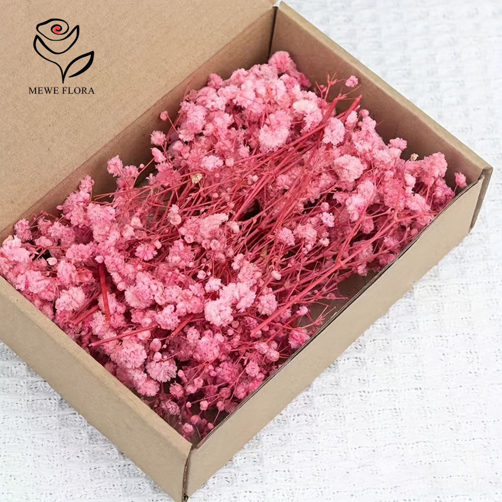 100 Small Branch Dried Baby's  - Dried Flower Bouquet review and price