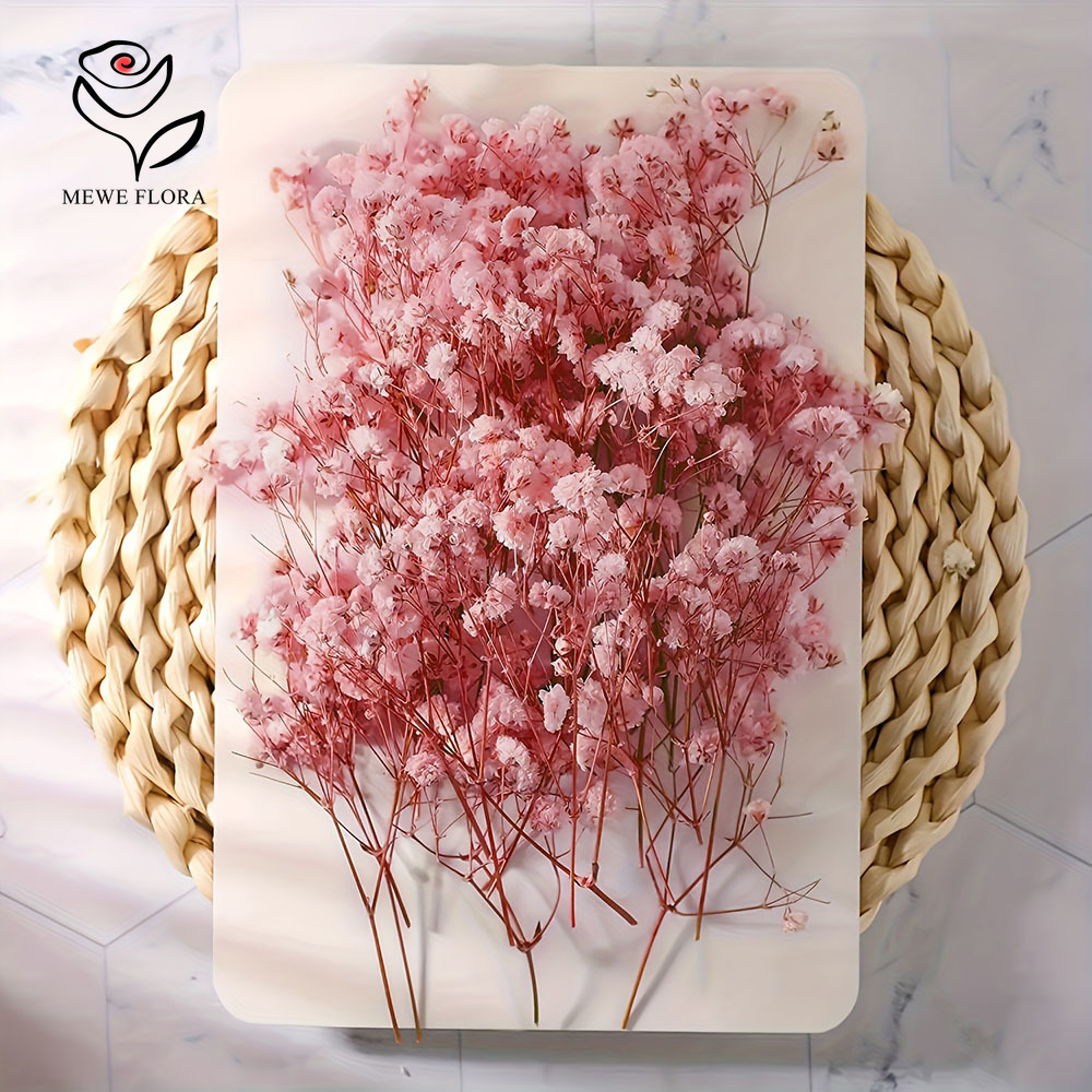 100 Small Branch Dried Baby's  - Dried Flower Bouquet review and price