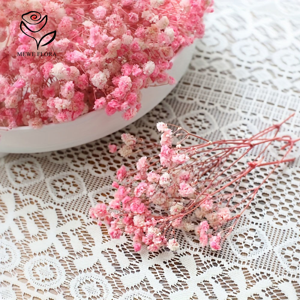 100 Small Branch Dried Baby's  - Dried Flower Bouquet review and price
