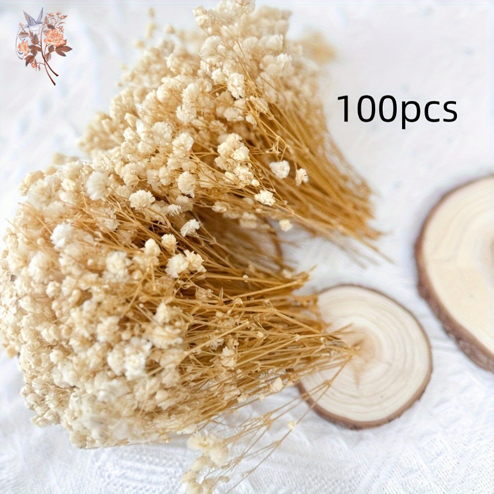 100pcs Mini Dried Baby's Breat - Dried Flower Bouquet review and price