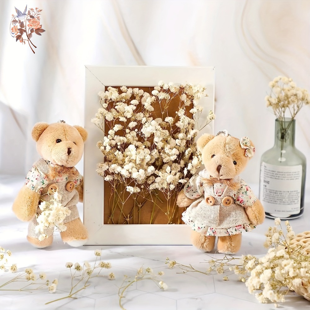 100pcs Mini Dried Baby's Breat - Dried Flower Bouquet review and price