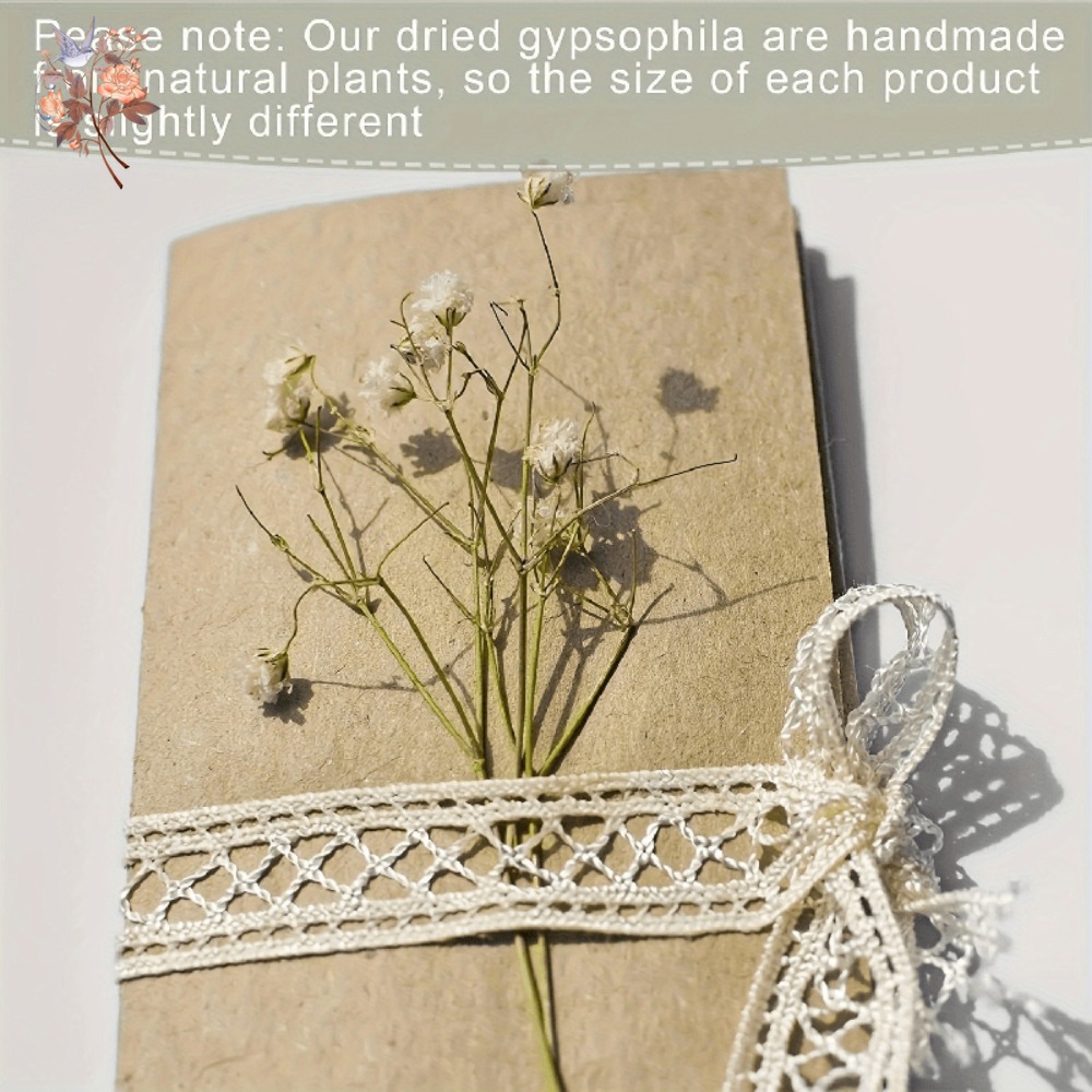 100pcs Mini Dried Baby's Breat - Dried Flower Bouquet review and price